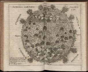 Schema Corporis Solaris