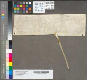 [Urkunde, die sich auf das haereditatem virginis Gertrudis Raesfeldt bezieht.]