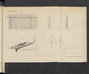 Taf. III. Fig. 1a. - Fig.4.