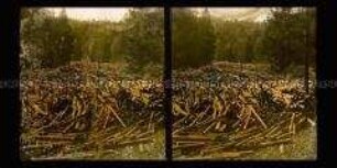 Holztrift und Stauung im Bayrischen Wald