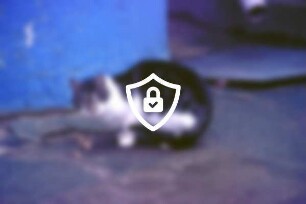 Kater [Name maskiert]