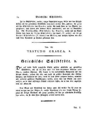 Tab. IX. Testudo Graeca B. : Griechische Schildkröte B.