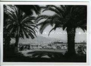 Blick von einer Terrasse auf den Hafen von Teneriffa