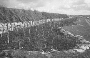 Tümlauer-Koog: Sandsäcke in Deichbruchstellen