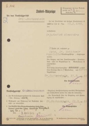 Krjutschek, Alexandra
