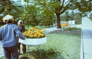 Gärtnerinnen an einem Blumenkübel