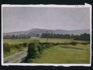 Graugrüne Landschaft mit Feldweg