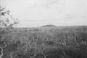 Tendaguru-Hügel vom Lipogiri-Plateau aus : Blick in eine Savannenlandschaft mit einem Hügel