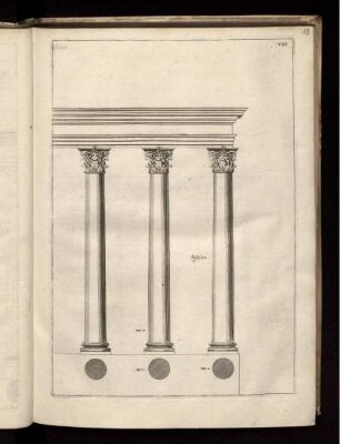 Illustration VIII: Sistilos