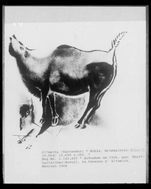 Wandmalerei in der Höhlenwohnung in der Altamira-Höhle: Bison