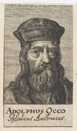 Bildnis des Adolphus Occo