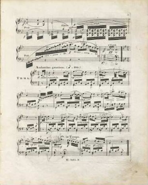 Variations brillantes avec introduction et finale (alla militare) : pour le pianoforte ; sur la cavatine favorite de la Violette de Carafa ; oeuvre 48