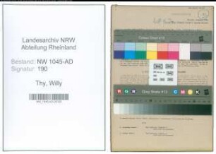 Entnazifizierung Willy Thy , geb. 08.02.1920 (Angestellter)