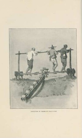 Irrigation by means of chain pump