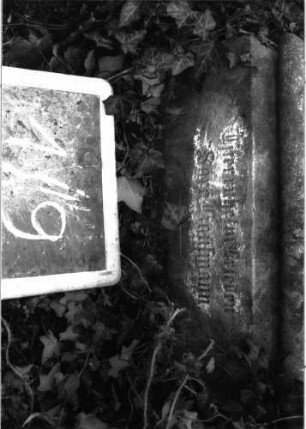 Grabstein 9 (Index: 99804885) Material: Sandstein Zustand: Sockel verwittert Maße HxBxT: 149x61x25 cm Beschreibung: Stele, Sockel, Giebel mit Eckakroteren, eingetieftes Schriftfeld rechteckig Symbolik: gebundene Blätterwedel: Grabstein 1/9 (Detailaufnahme)
