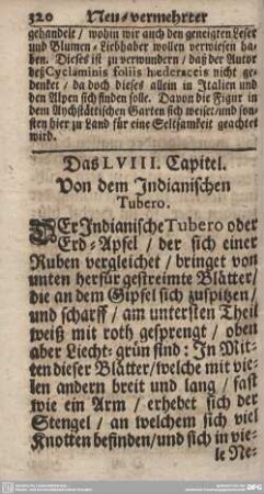 Das LVIII. Capitel. Von dem Indianischen Tubero.