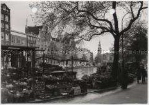 Amsterdam, Singel, Bloemenmarkt (Blumenmarkt), Munttoren (de Munt) (Münzturm)