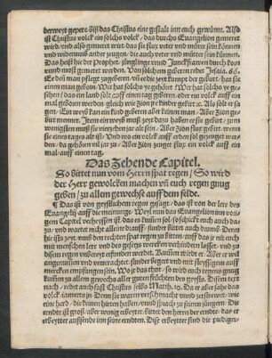 Das Zehende Capitel.