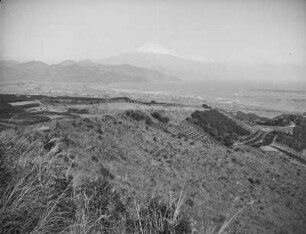 Teehügel von Shimizu : Teeanbau bei Shimizu. Blick über die Felder zum Fuji-san