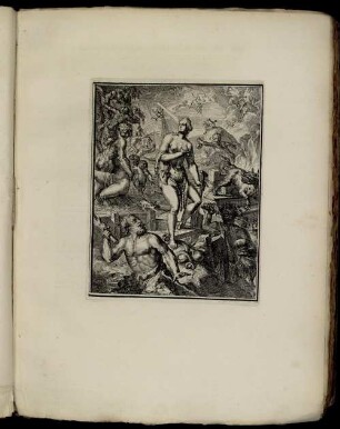 [Abbildung] No. 17