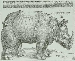 Das Nashorn (Rhinocerus)