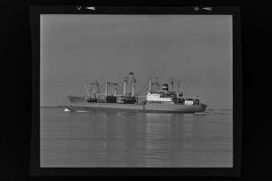 Cottbus (1979), Frachtschiff (reefer), VEB/DSR, Rostock, Bau-Nr. 442