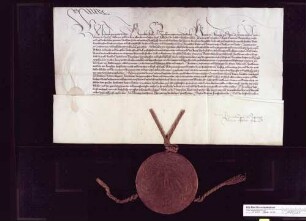 Kaiser Friedrich III. bestätigt dem Grafen Ulrich V. alle Privilegien.