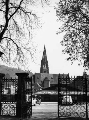 Frühling in Freiburg