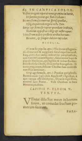 Capitis V. Elegia. V. Textus.
