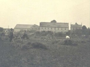 Feldarbeit in Panschwitz-Kuckau, Heuernte : Land- und Viehwirtschaft - Ernte und Heueinbringung. Ort: Pančicy-Kukow / Panschwitz-Kuckau. Heuernte