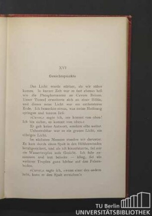 XVI Gesichtspunkte
