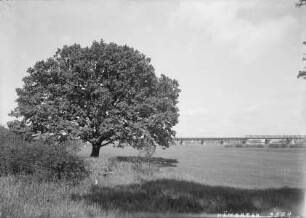 Elbebrücke