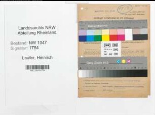 Entnazifizierung Heinrich Laufer , geb. 04.04.1900 (Arbeiter)