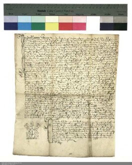 Notariatsinstrument über das Seelgerät des Heinrich Dorsel genannt Hoffig für die St. Katharinen- und die St. Nikolauskapelle in Fulda