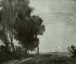Landschaft