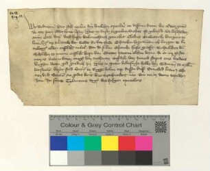 Die Ratsmannen der Stadt Molne beglaubigen eine Vollmacht in einer Erbsache.