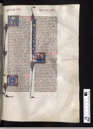 Novum Testamentum cum prologis