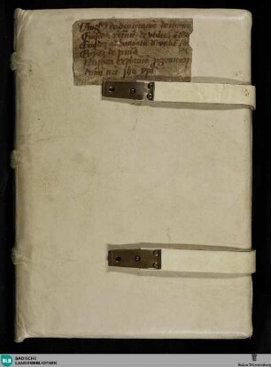 Sermo sancti Augustini episcopi de diuinatione daemonum - Cod. Aug. perg. 249