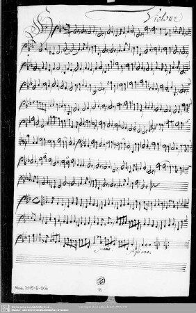 Violone