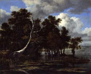 Eichen an einem See mit Wasserrosen