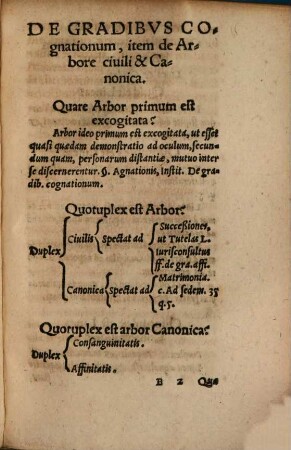 De arbore consanguinitatis, et affinitatis regulae