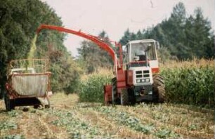 Fotografie: Ernteverfahren, Maissilage, Systemtraktor, Parallelverfahren, Maishäcksler angebaut, Ladewagen