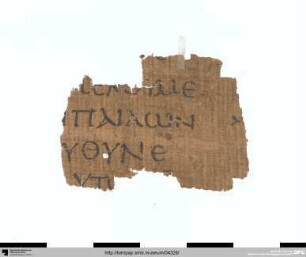 Platon, Leges 7, 809 A 4–6