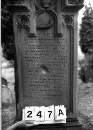 Grabstein 247 (Index: 100095817) Maße HxBxT: 173x58x20 cm Symbolik: Schofar, Levitenkanne: Grabstein 247A