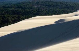 Frankreich. Aquitaine Gironde. Dune du Pilat. 114 Meter hohe Wanderduene. Höchste Duene Europas