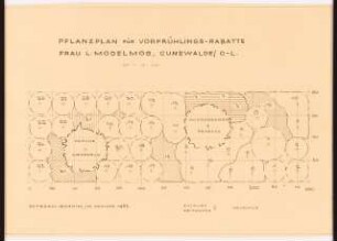 Garten Frau L. Modelmog, Cunewalde: Pflanzplan Vorfrühlingsrabatte 1:10