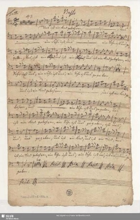 Basso Tutti