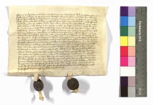 Peter von Berlichingen und Catharine von Sindringen verkaufen an Cunz von Rode seine Weinberge zu Belsenberg und Ingelfingen und ein Lehen zu Nagelsberg; Siegel: Peter von Berlichingen, Cathrin von Sindringen.