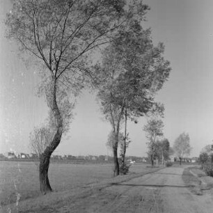 Landschaftsbild. Märkische Landschaft. : Wobraz krajiny. Markowska krajina.