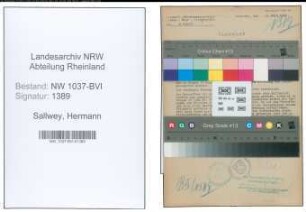 Entnazifizierung Hermann Sallwey , geb. 05.06.1894 (Dentist)
